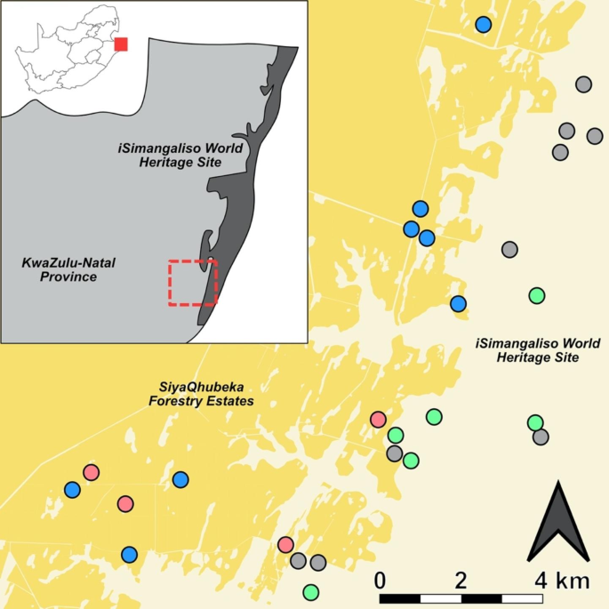 Interplay between pond size and matrix extent drives odonate diversity patterns in a fragmented landscape