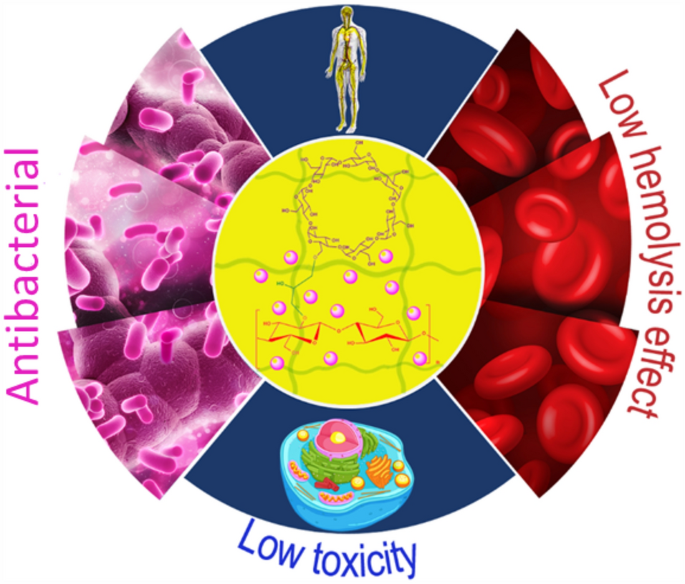 Synthesis and characterization of cellulose, β-cyclodextrin, silk fibroin-based hydrogel containing copper-doped cobalt ferrite nanospheres and exploration of its biocompatibility