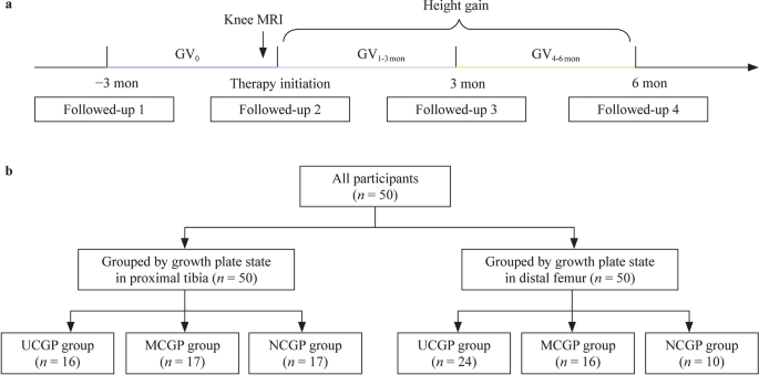 Magnetic resonance imaging of knees: a novel approach to predict recombinant human growth hormone therapy response in short-stature children in late puberty.