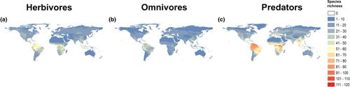 Environmental variables drive spatial patterns of trophic diversity in mammals