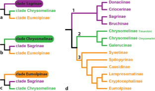 Can Pheromones Contribute to Phylogenetic Hypotheses? A Case Study of Chrysomelidae.