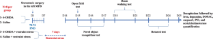 Restraint Stress Exacerbates Apoptosis in a 6-OHDA Animal Model of Parkinson Disease.