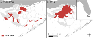 Trophic Niche Metrics Reveal Long-Term Shift in Florida Bay Food Webs