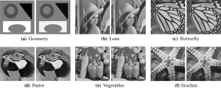 Anisotropic Variational Models for Image Denoising Based on Directional Hessian