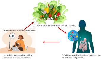 A dietary intervention for postmenopausal hot flashes: A potential role of gut microbiome. An exploratory analysis