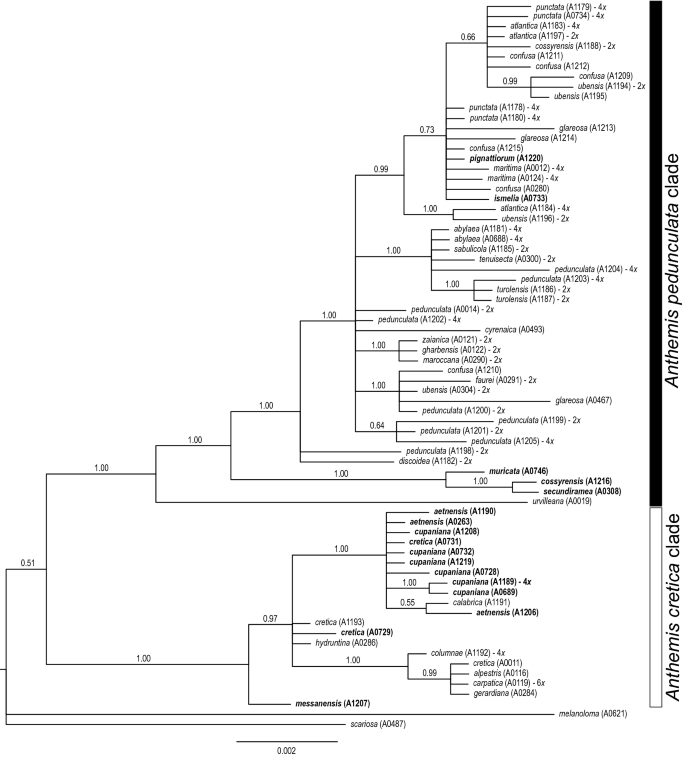 Allopolyploidisation in a geological collision zone: on the origin of the tetraploid Anthemis cupaniana Nyman (Compositae, Anthemideae) in Sicily