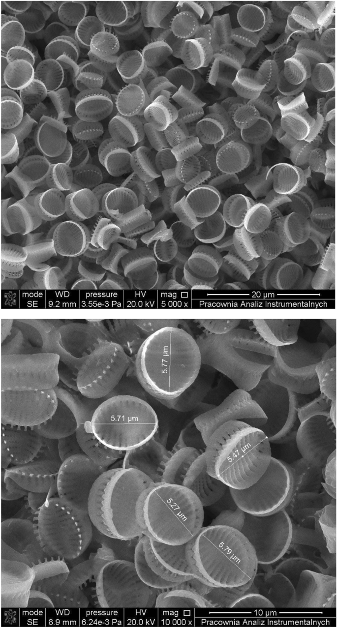 Biosilica as a New Stationary Phase in HILIC Mode