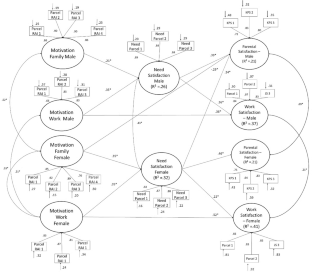 Parents Between Family and Work: The Role of Psychological Needs Satisfaction