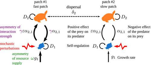 Spatial heterogeneity of biomass turnover has contrasting effects on synchrony and stability in trophic metacommunities