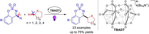 Photoinduced decatungstate-catalyzed direct coupling of cycloalkanes and cyclic aldimines