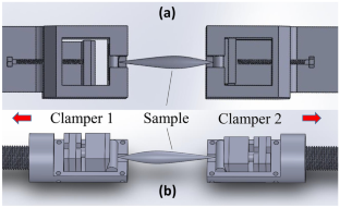 Effect of strain rates on the mechanical response of whole muscle bundle