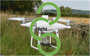 Use of remote sensing to assess vegetative stress as a proxy for soil contamination†