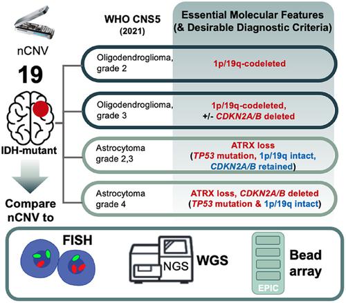 Exploiting nanopore sequencing for characterization and grading of IDH-mutant gliomas