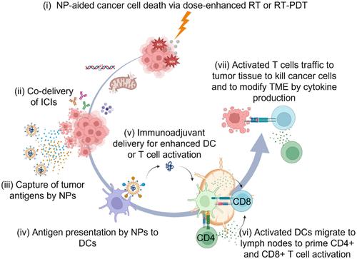 Nanotechnology-enhanced radiotherapy and the abscopal effect: Current status and challenges of nanomaterial-based radio-immunotherapy.