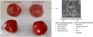 Nanomaterials Utilized in Food Packaging: State-of-the-Art