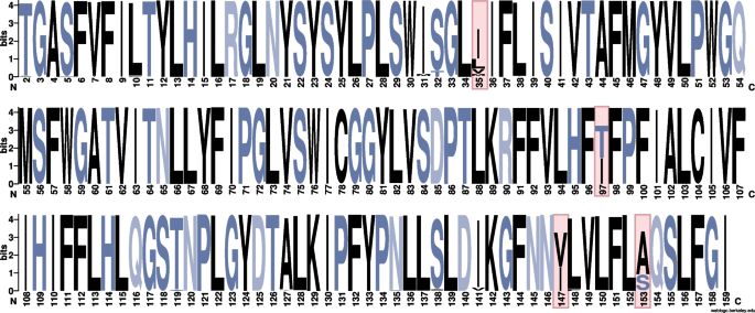 Purifying selection leads to low protein diversity of the mitochondrial cyt b gene in avian malaria parasites.