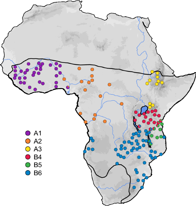 Historical demography and climatic niches of the Natal multimammate mouse (Mastomys natalensis) in the Zambezian region