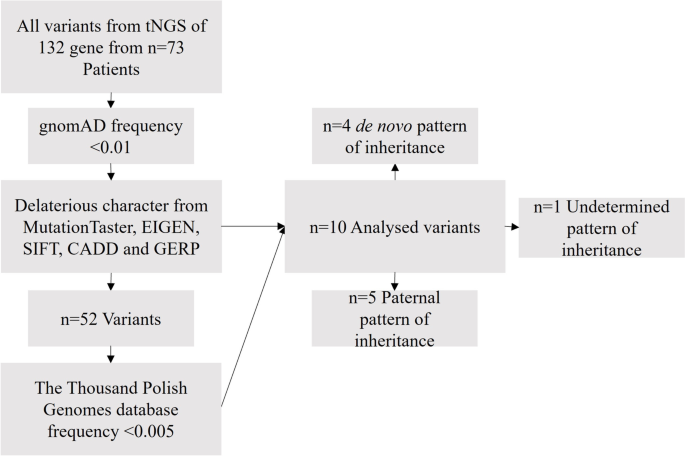 Novel potentially pathogenic variants detected in genes causing intellectual disability and epilepsy in Polish families.