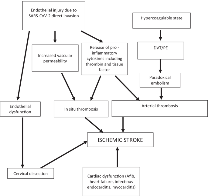 Stroke Treatment in the Era of COVID-19: a Review.