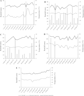 In Furrow Co-inoculation of Rhizobia and Azospirilla Influences the Growth and Productivity of the Common Bean