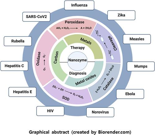 Advances in Nanozymes as a Paradigm for Viral Diagnostics and Therapy.