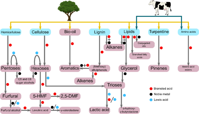 Utilization of zeolite catalysts in biomass exploitation: a minireview