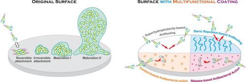 Multifunctional coatings for mitigating bacterial fouling and contamination