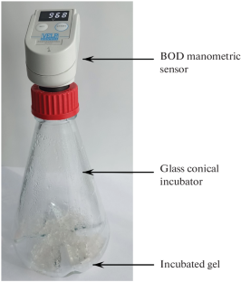 Kinetic Estimation of the Biodegradability of Gel-Forming Soil Conditioners on the Basis of BOD Analysis