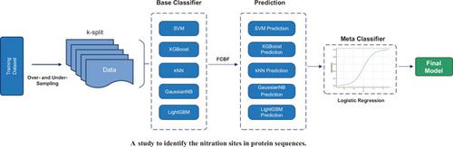 Prediction of Nitration Sites Based on FCBF Method and Stacking Ensemble Model