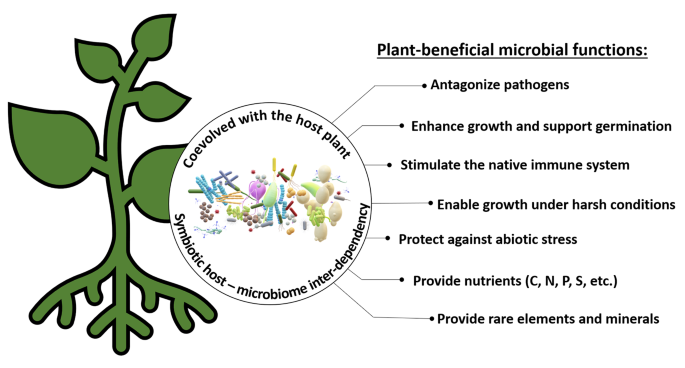 Missing symbionts – emerging pathogens? Microbiome management for sustainable agriculture