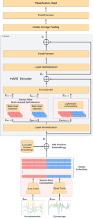 Transformer-based models to deal with heterogeneous environments in Human Activity Recognition