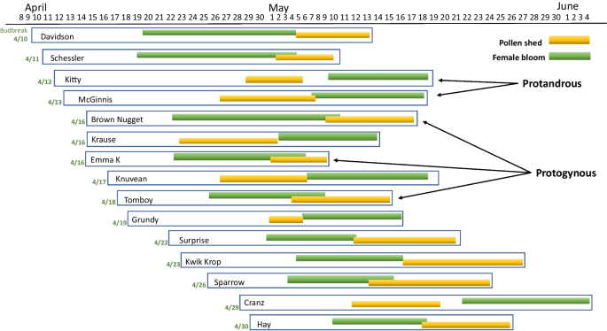 Female flowers first: QTL mapping in eastern black walnut (Juglans nigra L.) identifies a dominant locus for heterodichogamy syntenic with that in Persian walnut (J. regia L.)