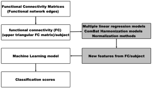 Confounding Effects on the Performance of Machine Learning Analysis of Static Functional Connectivity Computed from rs-fMRI Multi-site Data.