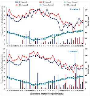 Uniconazole improves mango flowering and fruit yield by regulating gibberellins and carbon–nitrogen nutrition