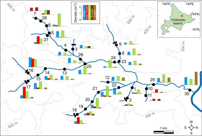 Longitudinal structuring of stream-fish assemblages: is niche partitioning observed in two-species systems applicable to three-species systems?