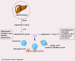 Efficient Expression in the Prokaryotic Host System, Purification and Structural Analyses of the Recombinant Human ACE2 Catalytic Subunit as a Hybrid Protein with the B Subunit of Cholera Toxin (CTB-ACE2)