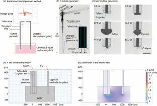 Enhancing suspended cell transfection by inducing localized distribution of the membrane actin cortex before exposure to electromechanical stimulation.