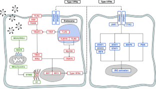 Increased Fungal Infection Mortality Induced by Concurrent Viral Cellular Manipulations.