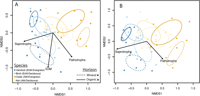 Mycorrhiza Better Predict Soil Fungal Community Composition and Function than Aboveground Traits in Temperate Forest Ecosystems