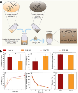 A self-healable and bioadhesive acacia gum polysaccharide-based injectable hydrogel for wound healing acceleration.