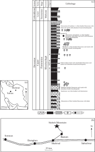 A New Species Martinothyris pseudolineatus (Spiriferida) from the Late Famennian of Northeastern Iran