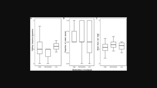 Effect of male–female relatedness on aggression and inbreeding in an egg parasitoid wasp