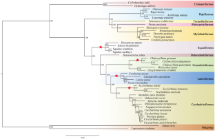 Application of genomic markers generated for ray-finned fishes in chondrichthyan Phylogenomics