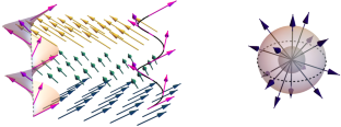 Compatible Director Fields in \(\mathbb{R}^{3}\)