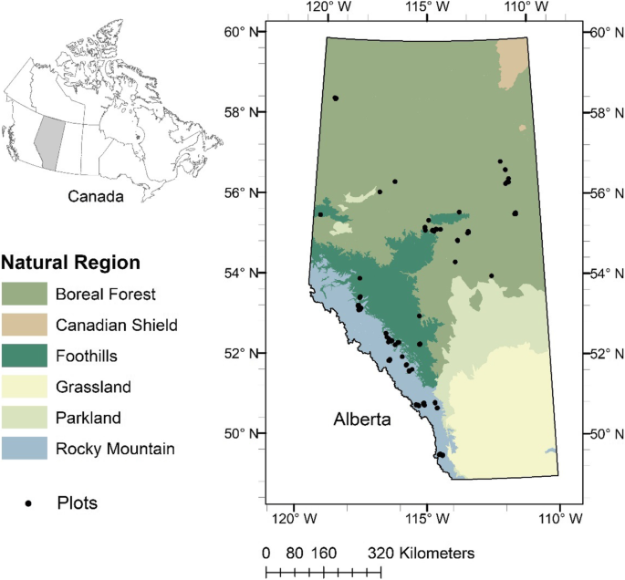 The Alberta Wildland Fuels Inventory Program (AWFIP): data description and reference tables