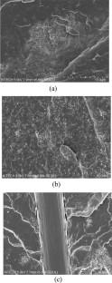 Combined effect of hybrid carbon fillers on the physical and rheological properties of polyvinylidene fluoride composites