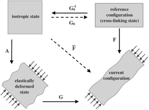 Controllable Deformations of Unconstrained Ideal Nematic Elastomers