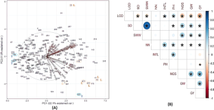 Expression analysis and characterization of morpho-physiological traits for reduced height and increased lodging resistance in barley (Hordeum vulgare L.) hybrids under different water regimes