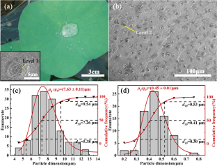 Biomimetic Preparation of Alumina Hierarchical Papillary Microrough Structure for Hydrophobic Improvement and Its Abrasion Resistance Finite Element Analysis