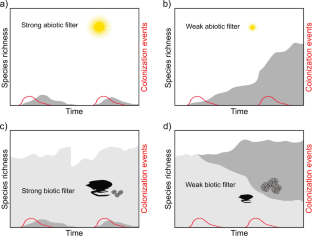 Post-dispersal astrobiological events: modelling macroevolutionary dynamics for lithopanspermia.